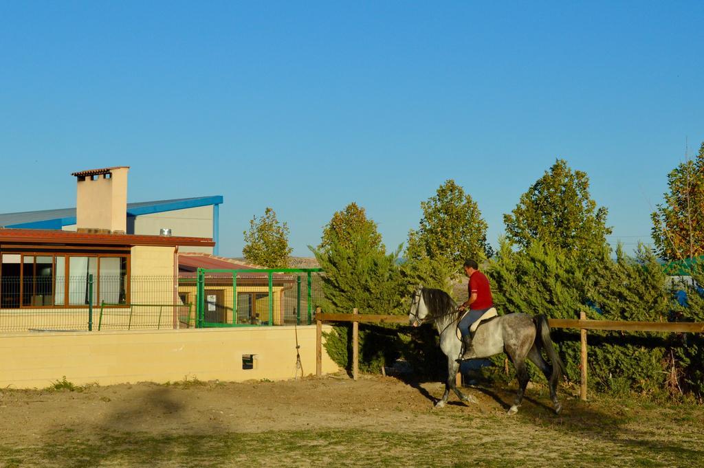 Rural Reillo Alojamientos Rurales Buitenkant foto